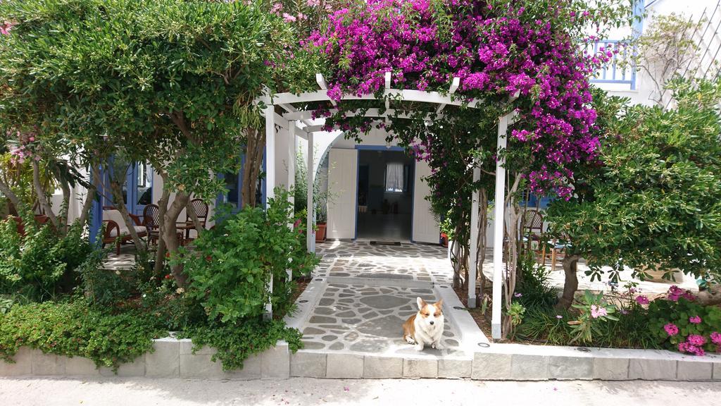 Отель Panorama Paros Экстерьер фото